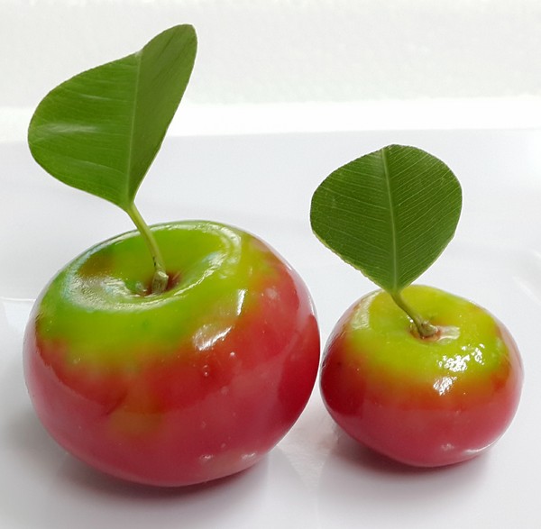 Mê mẩn với món bánh đậu xanh trái cây của Sài Gòn 3